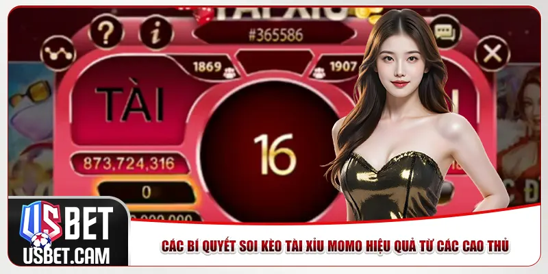 Các bí quyết soi kèo tài xỉu Momo hiệu quả từ các cao thủ Các bí quyết soi kèo tài xỉu Momo hiệu quả từ các cao thủ